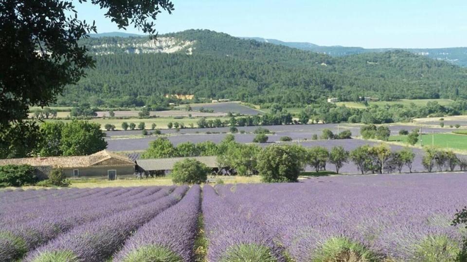 Chambre Privee Independante Au Coeur Du Luberon Сен-Сатюрнен-д'Апт Екстер'єр фото